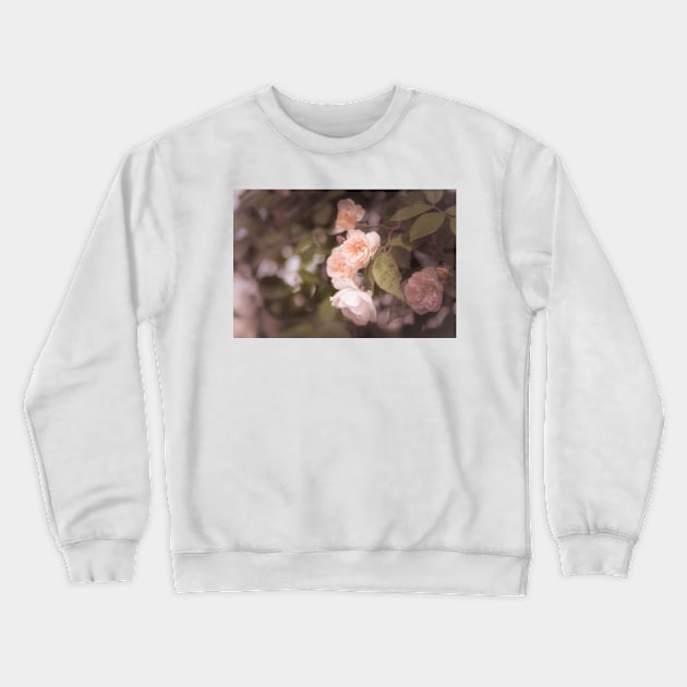 Peachy Pink Vintage Roses Crewneck Sweatshirt by Amy-K-Mitchell